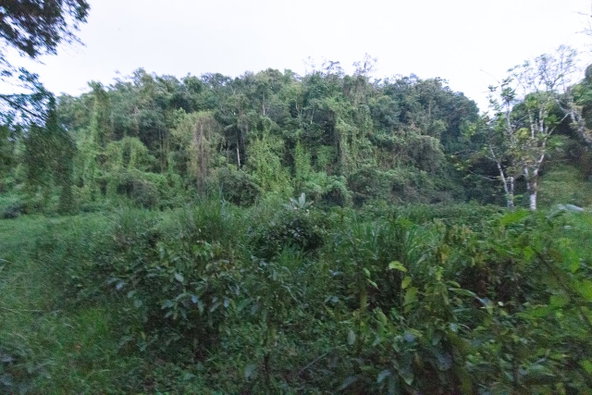 Eighth image of 41 Greenock in Cave Valey, St. Ann, Jamaica - property is For Sale