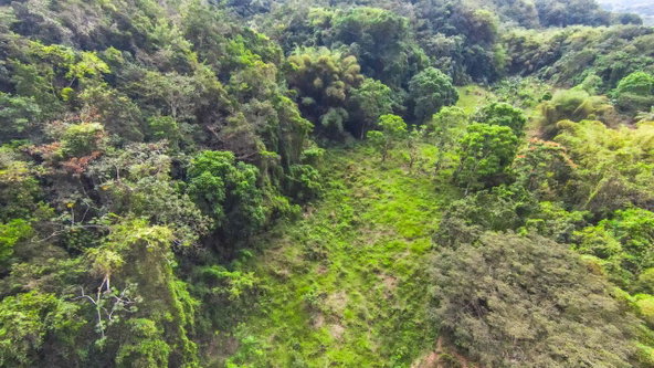 Ninth image of 41 Greenock in Cave Valey, St. Ann, Jamaica - property is For Sale