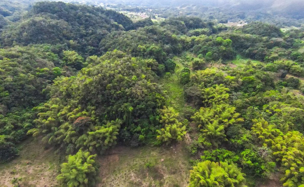 Tenth image of 41 Greenock in Cave Valey, St. Ann, Jamaica - property is For Sale