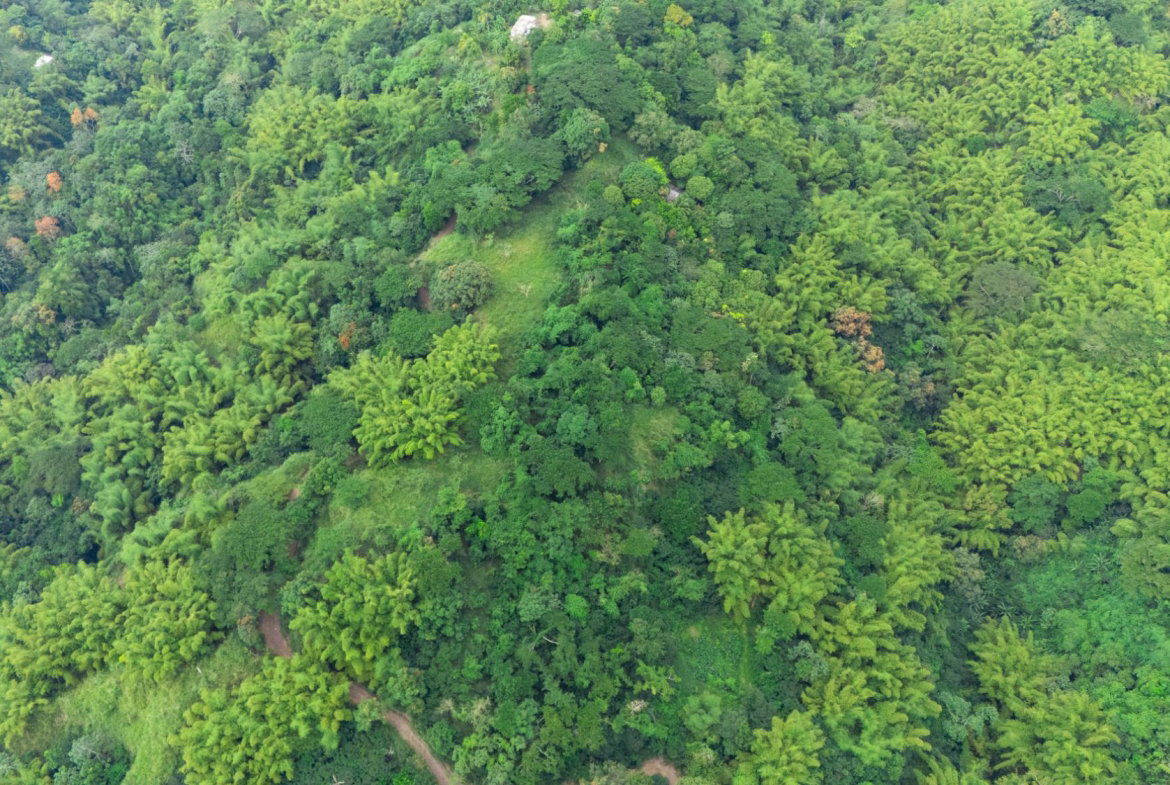 Second image of Jacks Hill in Kingston 6, St. Andrew, Jamaica - property is For Sale