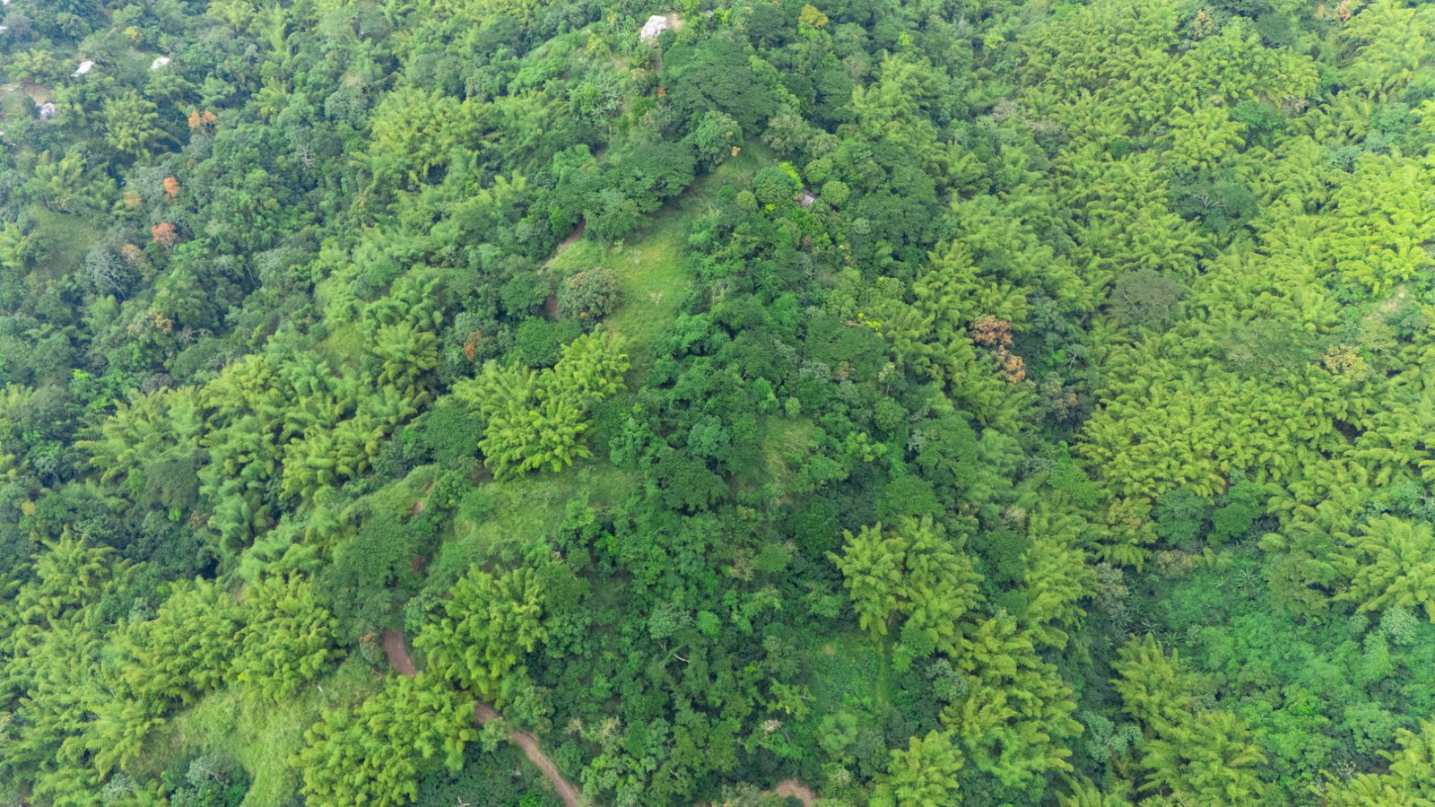 15-Acre-Eco-Tourism-Development-Land-for-Sale-in-Jacks-Hill-Jamaica Second image of Jacks Hill in Kingston 6, St. Andrew, Jamaica - property is For Sale
