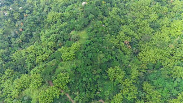 Second image of Jacks Hill in Kingston 6, St. Andrew, Jamaica - property is For Sale