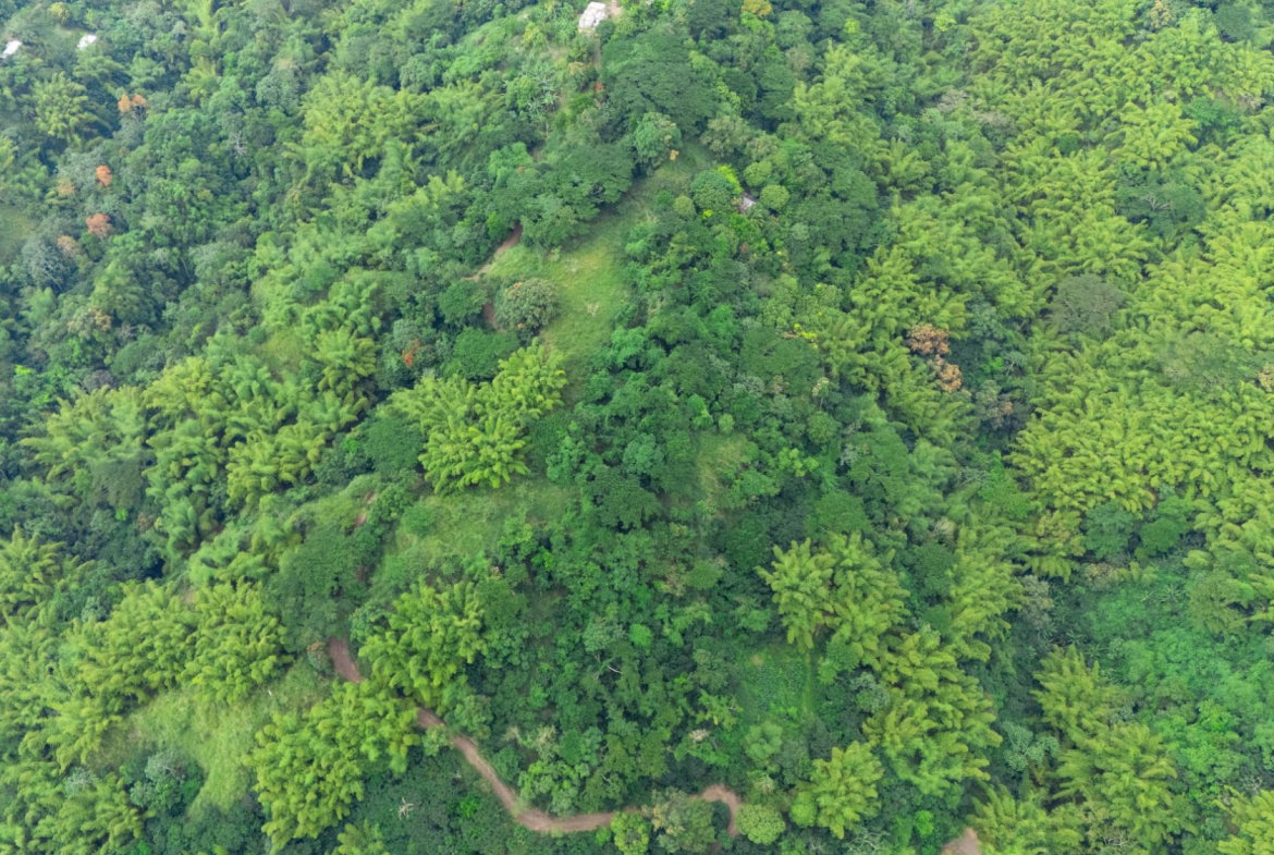 First image of Jacks Hill in Kingston 6, St. Andrew, Jamaica - property is For Sale