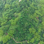 First image of Jacks Hill in Kingston 6, St. Andrew, Jamaica - property is For Sale