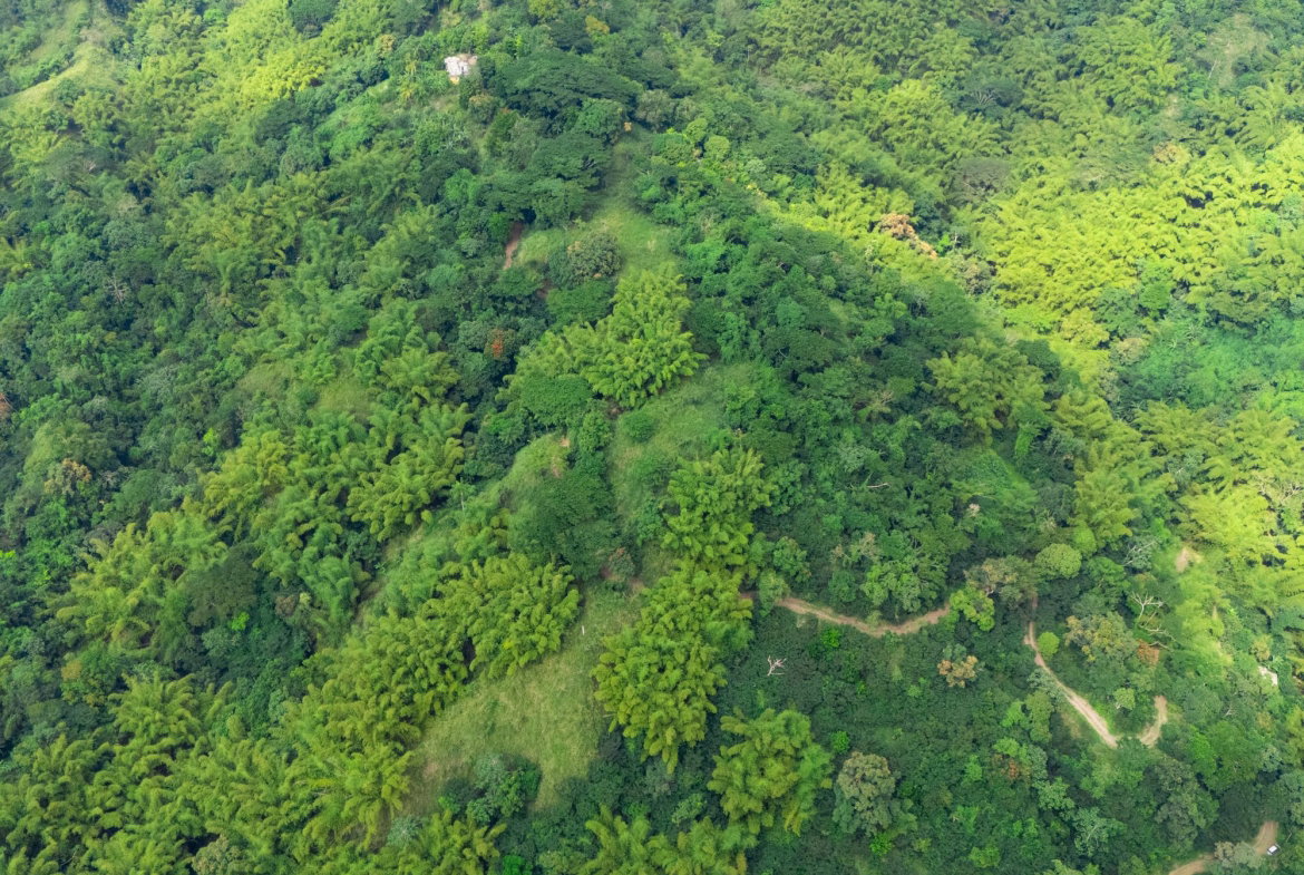 Third image of Jacks Hill in Kingston 6, St. Andrew, Jamaica - property is For Sale