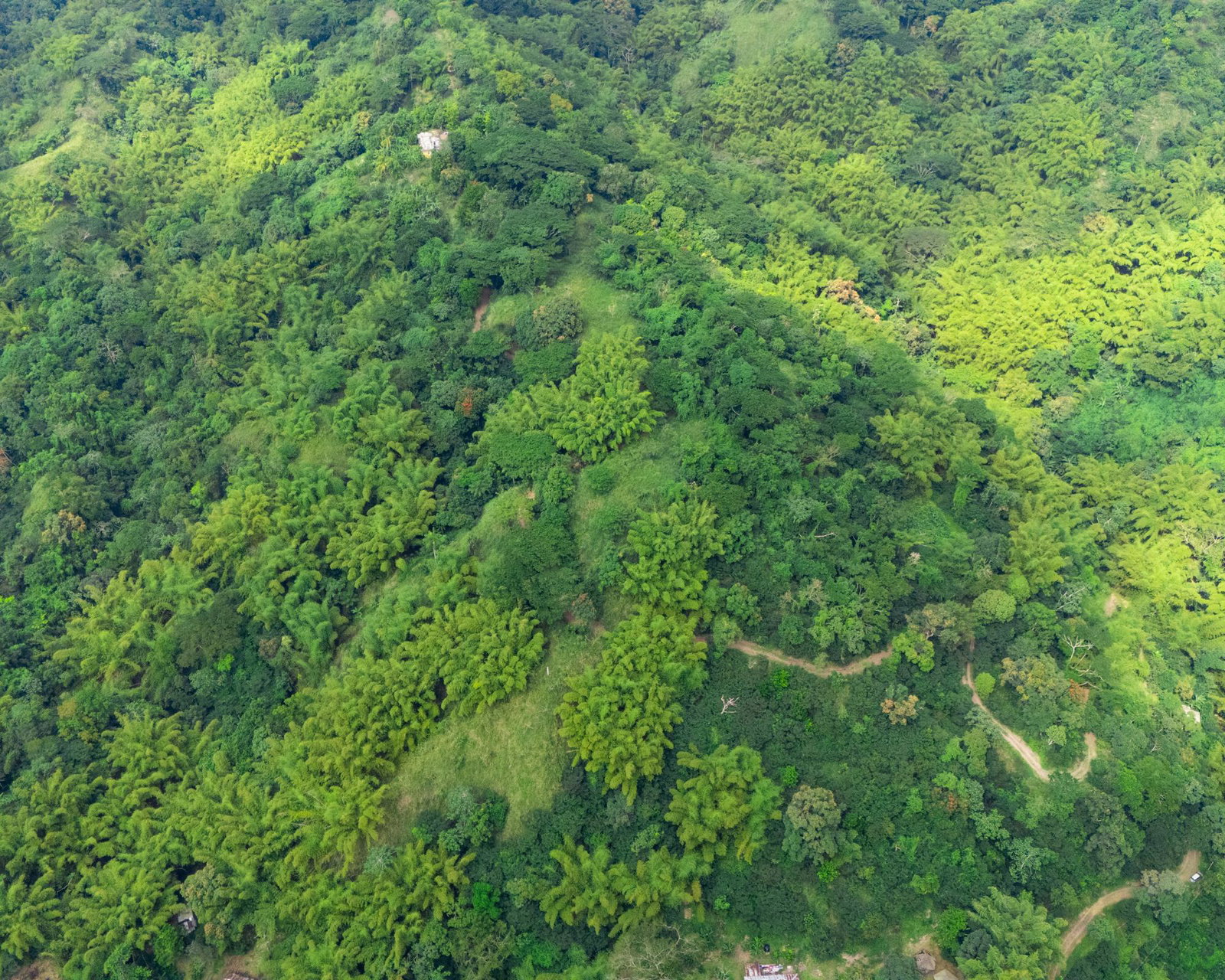 15-Acre-Eco-Tourism-Development-Land-for-Sale-in-Jacks-Hill-Jamaica Third image of Jacks Hill in Kingston 6, St. Andrew, Jamaica - property is For Sale
