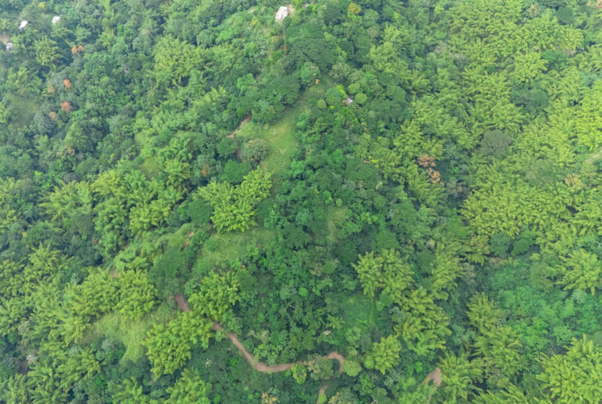 Fourth image of Jacks Hill in Kingston 6, St. Andrew, Jamaica - property is For Sale