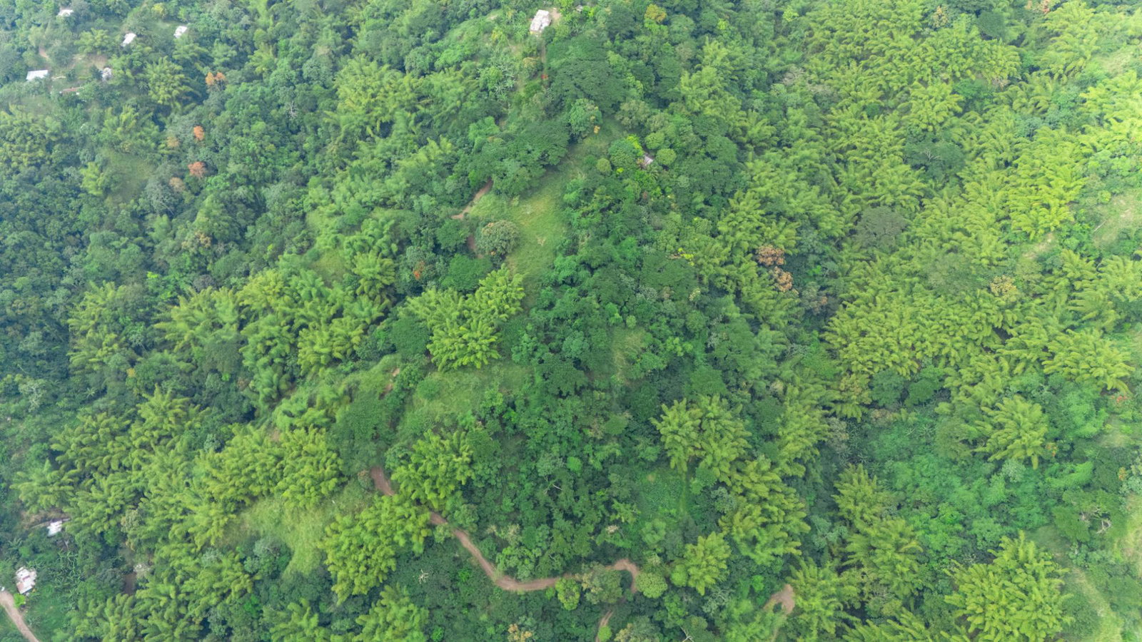 15-Acre-Eco-Tourism-Development-Land-for-Sale-in-Jacks-Hill-Jamaica Fourth image of Jacks Hill in Kingston 6, St. Andrew, Jamaica - property is For Sale