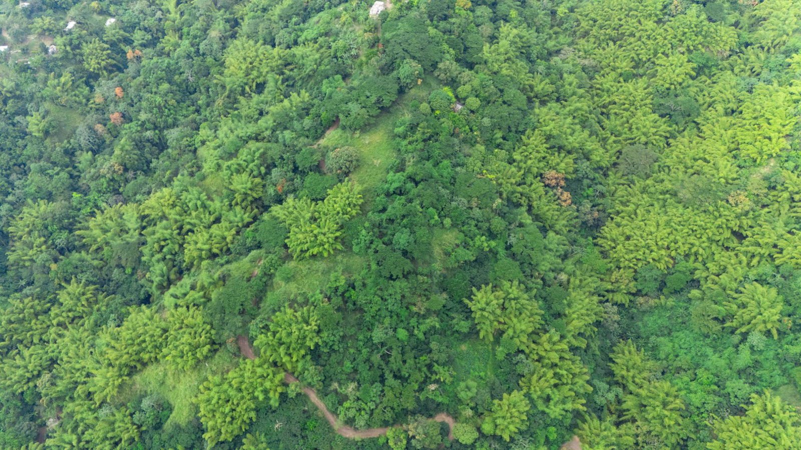 15-Acre-Eco-Tourism-Development-Land-for-Sale-in-Jacks-Hill-Jamaica First image of Jacks Hill in Kingston 6, St. Andrew, Jamaica - property is For Sale
