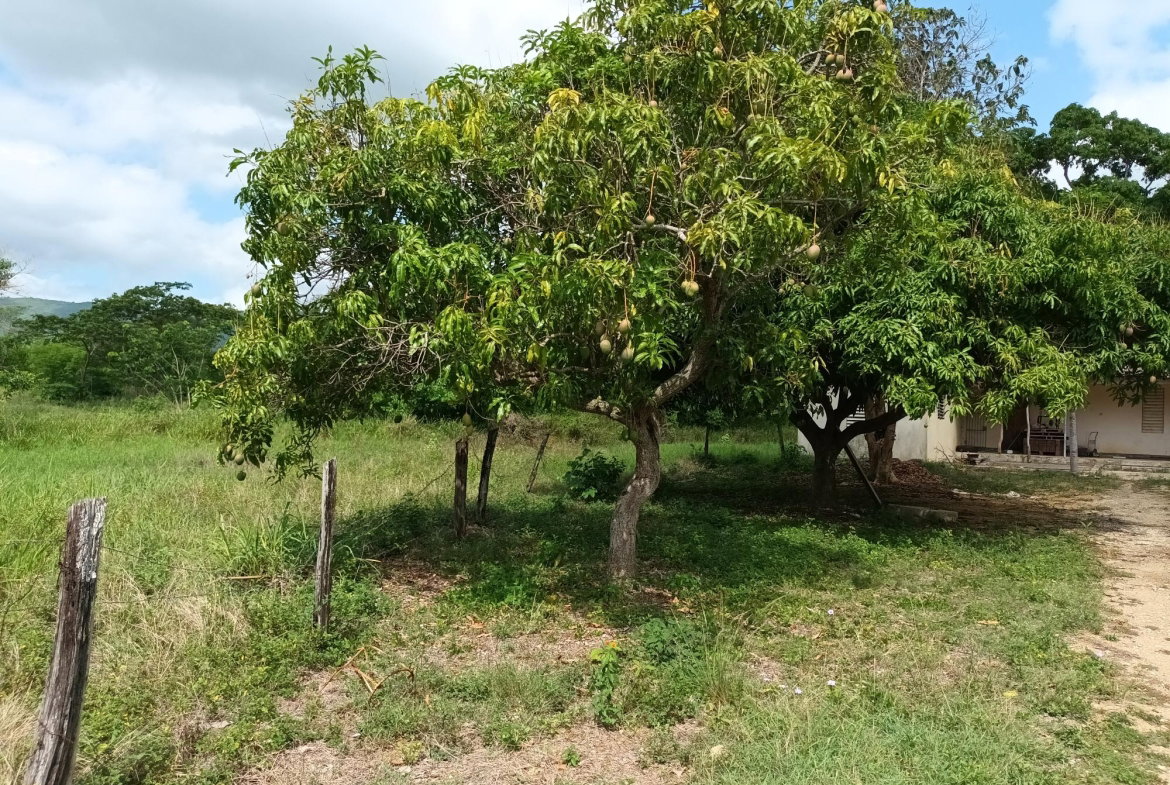 Eleventh image of 0000 Toll Gate, Clarendon in Toll Gate, Clarendon, Jamaica - property is For Sale