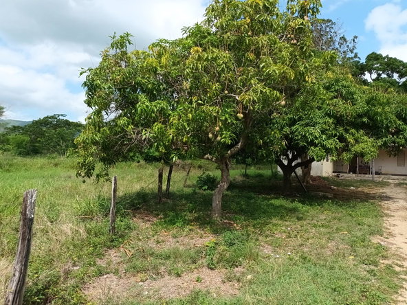 Eleventh image of 0000 Toll Gate, Clarendon in Toll Gate, Clarendon, Jamaica - property is For Sale