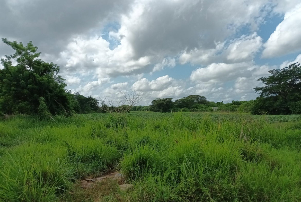Twelfth image of 0000 Toll Gate, Clarendon in Toll Gate, Clarendon, Jamaica - property is For Sale