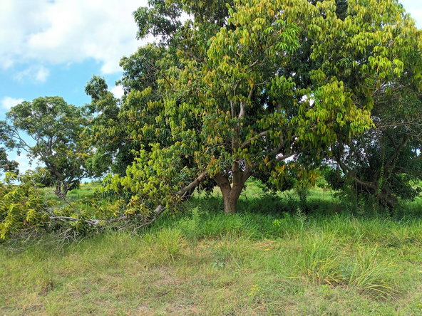 Fourteenth image of 0000 Toll Gate, Clarendon in Toll Gate, Clarendon, Jamaica - property is For Sale