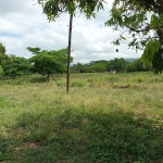 First image of 0000 Toll Gate, Clarendon in Toll Gate, Clarendon, Jamaica - property is For Sale