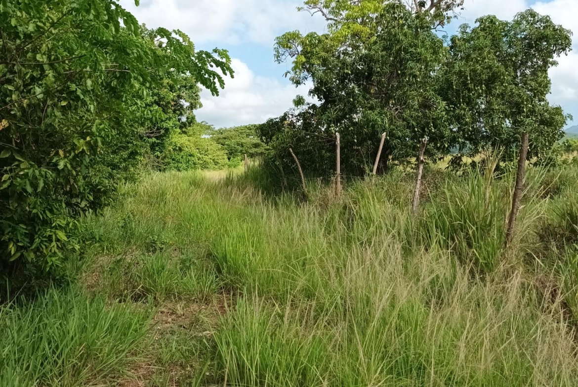 Third image of 0000 Toll Gate, Clarendon in Toll Gate, Clarendon, Jamaica - property is For Sale