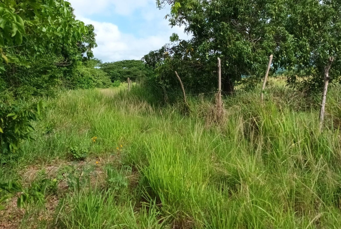 Fifth image of 0000 Toll Gate, Clarendon in Toll Gate, Clarendon, Jamaica - property is For Sale