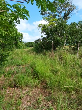 Fifth image of 0000 Toll Gate, Clarendon in Toll Gate, Clarendon, Jamaica - property is For Sale