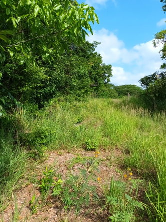 Sixth image of 0000 Toll Gate, Clarendon in Toll Gate, Clarendon, Jamaica - property is For Sale