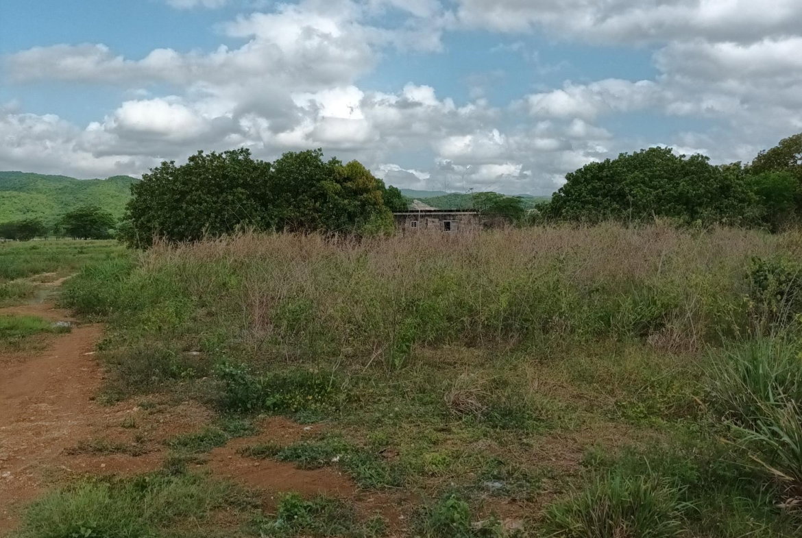 Seventh image of 0000 Toll Gate, Clarendon in Toll Gate, Clarendon, Jamaica - property is For Sale