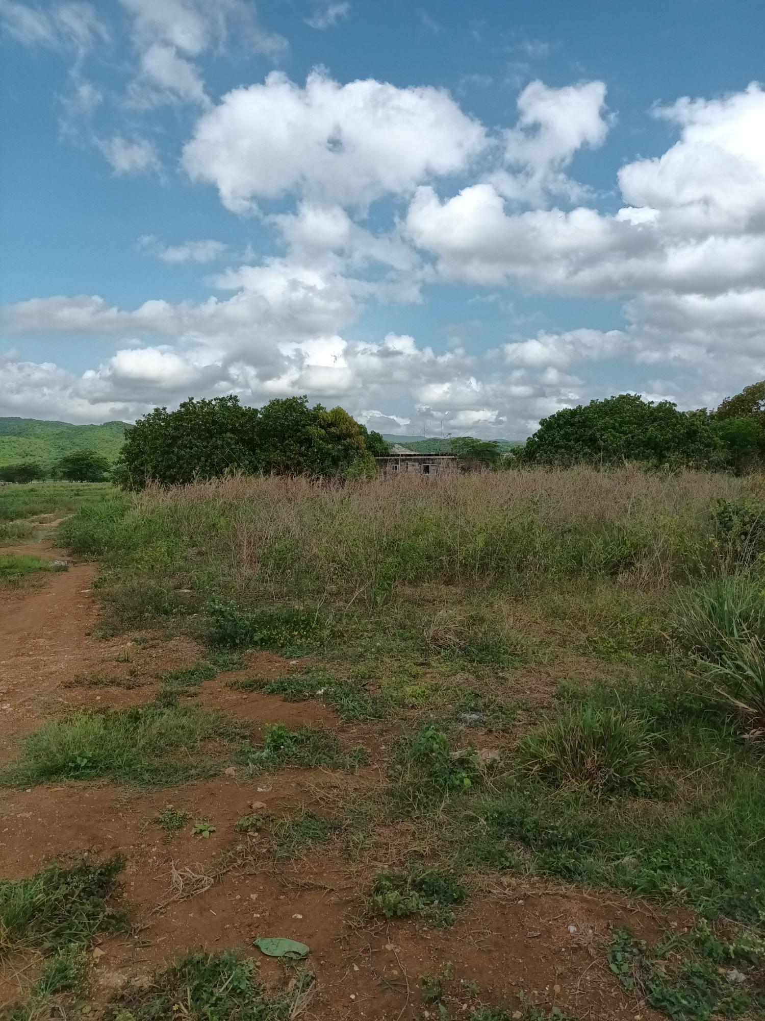153-Acres-of-Prime-Residential-Development-Land-for-Sale-in-Clarendon-Jamaica Seventh image of 0000 Toll Gate, Clarendon in Toll Gate, Clarendon, Jamaica - property is For Sale