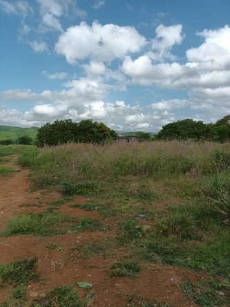 Seventh image of 0000 Toll Gate, Clarendon in Toll Gate, Clarendon, Jamaica - property is For Sale