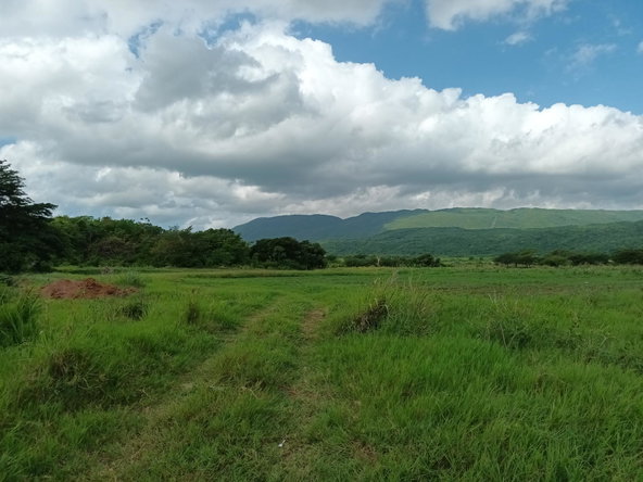 Ninth image of 0000 Toll Gate, Clarendon in Toll Gate, Clarendon, Jamaica - property is For Sale