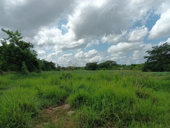 Tenth image of 0000 Toll Gate, Clarendon in Toll Gate, Clarendon, Jamaica - property is For Sale