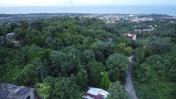 Eleventh image of New Banks, Tanglewood in Ocho Rios, St. Ann, Jamaica - property is For Sale