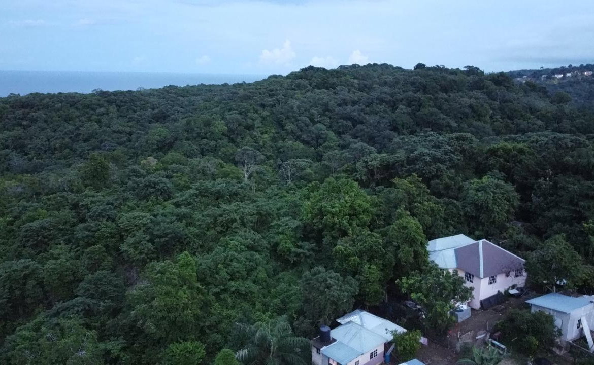 Twelfth image of New Banks, Tanglewood in Ocho Rios, St. Ann, Jamaica - property is For Sale