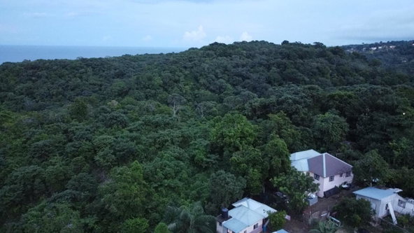 Twelfth image of New Banks, Tanglewood in Ocho Rios, St. Ann, Jamaica - property is For Sale