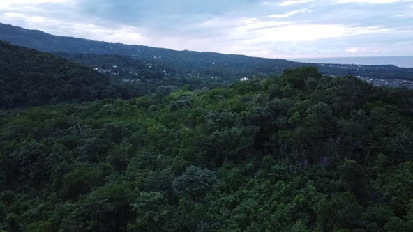 Fifteenth image of New Banks, Tanglewood in Ocho Rios, St. Ann, Jamaica - property is For Sale