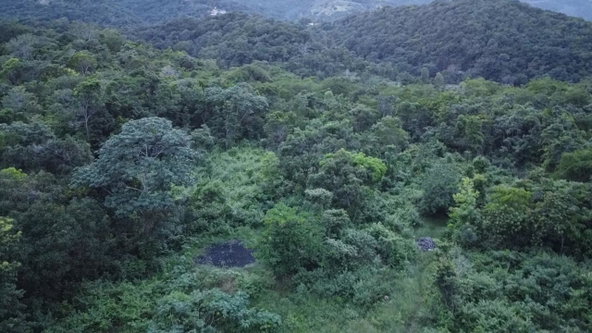 Seventeenth image of New Banks, Tanglewood in Ocho Rios, St. Ann, Jamaica - property is For Sale
