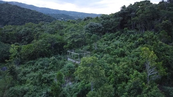 Nineteenth image of New Banks, Tanglewood in Ocho Rios, St. Ann, Jamaica - property is For Sale