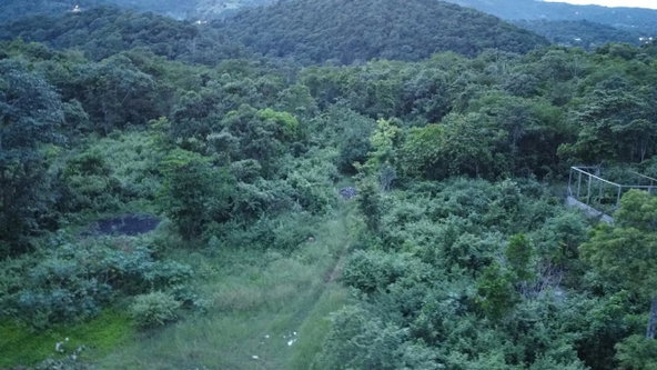 Third image of New Banks, Tanglewood in Ocho Rios, St. Ann, Jamaica - property is For Sale