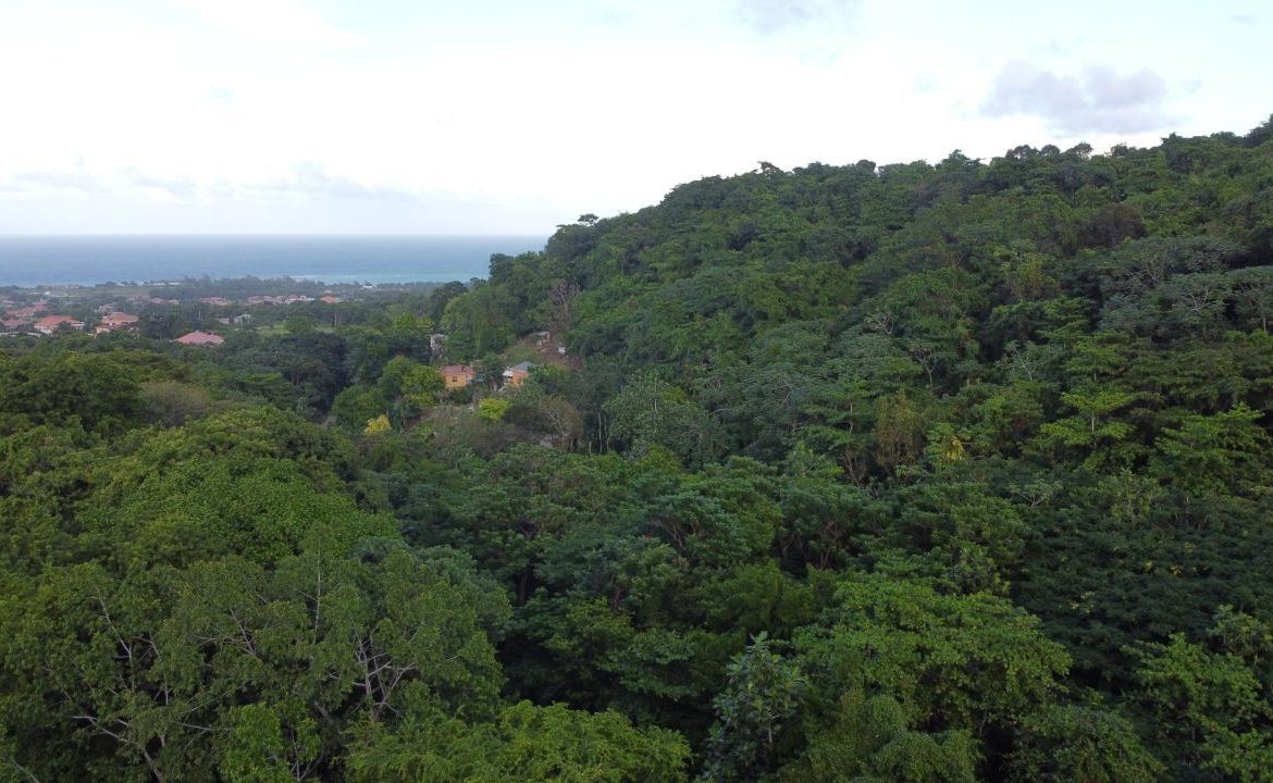 Twenty-Second image of New Banks, Tanglewood in Ocho Rios, St. Ann, Jamaica - property is For Sale