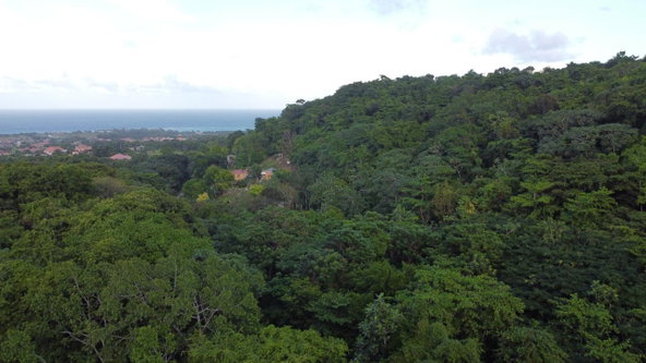 Twenty-Second image of New Banks, Tanglewood in Ocho Rios, St. Ann, Jamaica - property is For Sale
