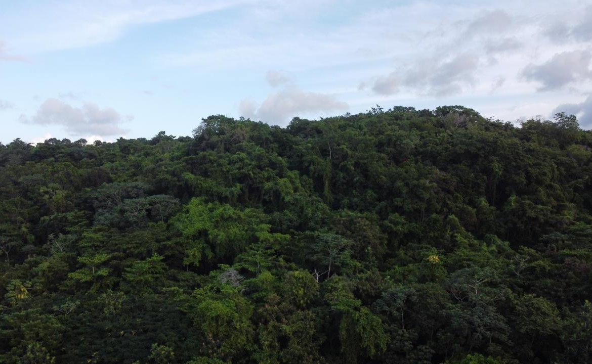 Twenty-Third image of New Banks, Tanglewood in Ocho Rios, St. Ann, Jamaica - property is For Sale