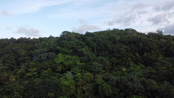 Twenty-Third image of New Banks, Tanglewood in Ocho Rios, St. Ann, Jamaica - property is For Sale