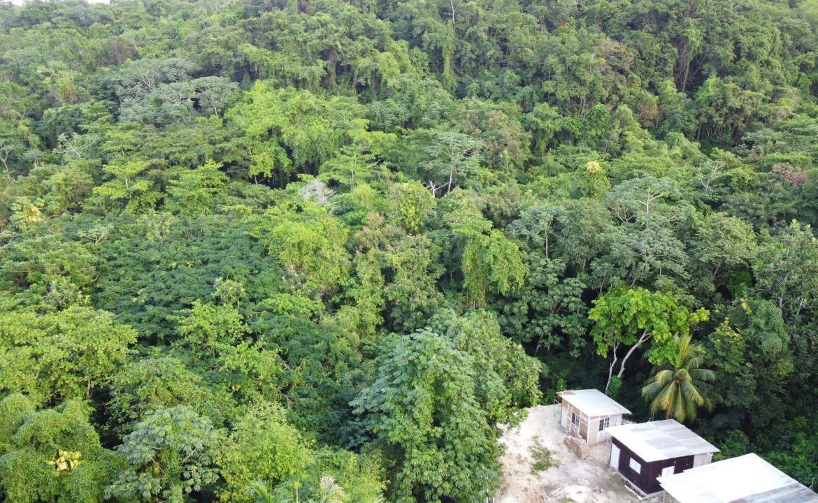 Twenty-Fourth image of New Banks, Tanglewood in Ocho Rios, St. Ann, Jamaica - property is For Sale