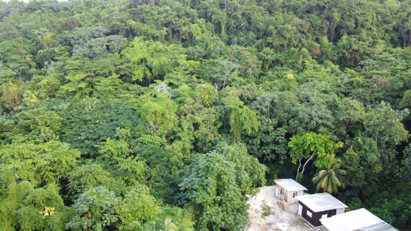 Twenty-Fourth image of New Banks, Tanglewood in Ocho Rios, St. Ann, Jamaica - property is For Sale