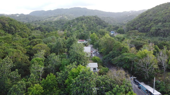 Twenty-Fifth image of New Banks, Tanglewood in Ocho Rios, St. Ann, Jamaica - property is For Sale