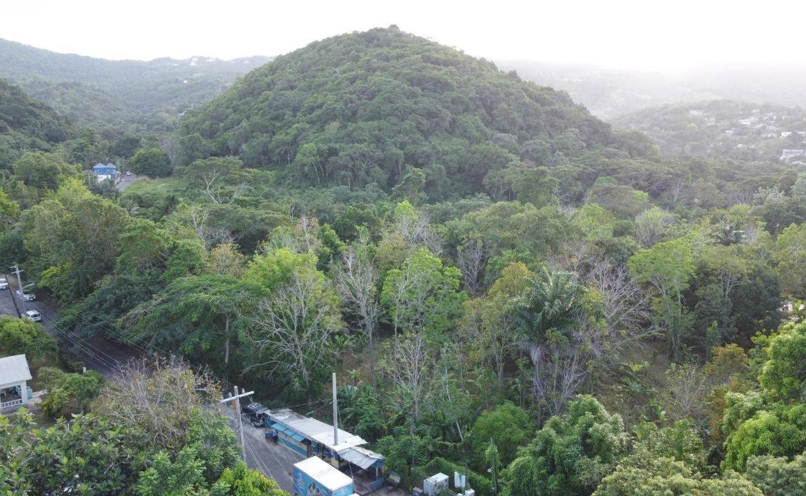 Twenty-Sixth image of New Banks, Tanglewood in Ocho Rios, St. Ann, Jamaica - property is For Sale