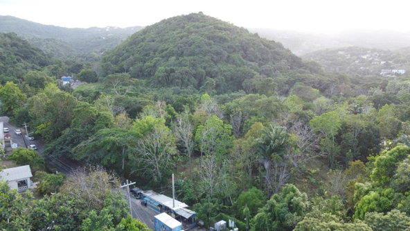 Twenty-Sixth image of New Banks, Tanglewood in Ocho Rios, St. Ann, Jamaica - property is For Sale