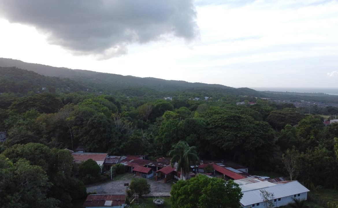 Twenty-Seventh image of New Banks, Tanglewood in Ocho Rios, St. Ann, Jamaica - property is For Sale