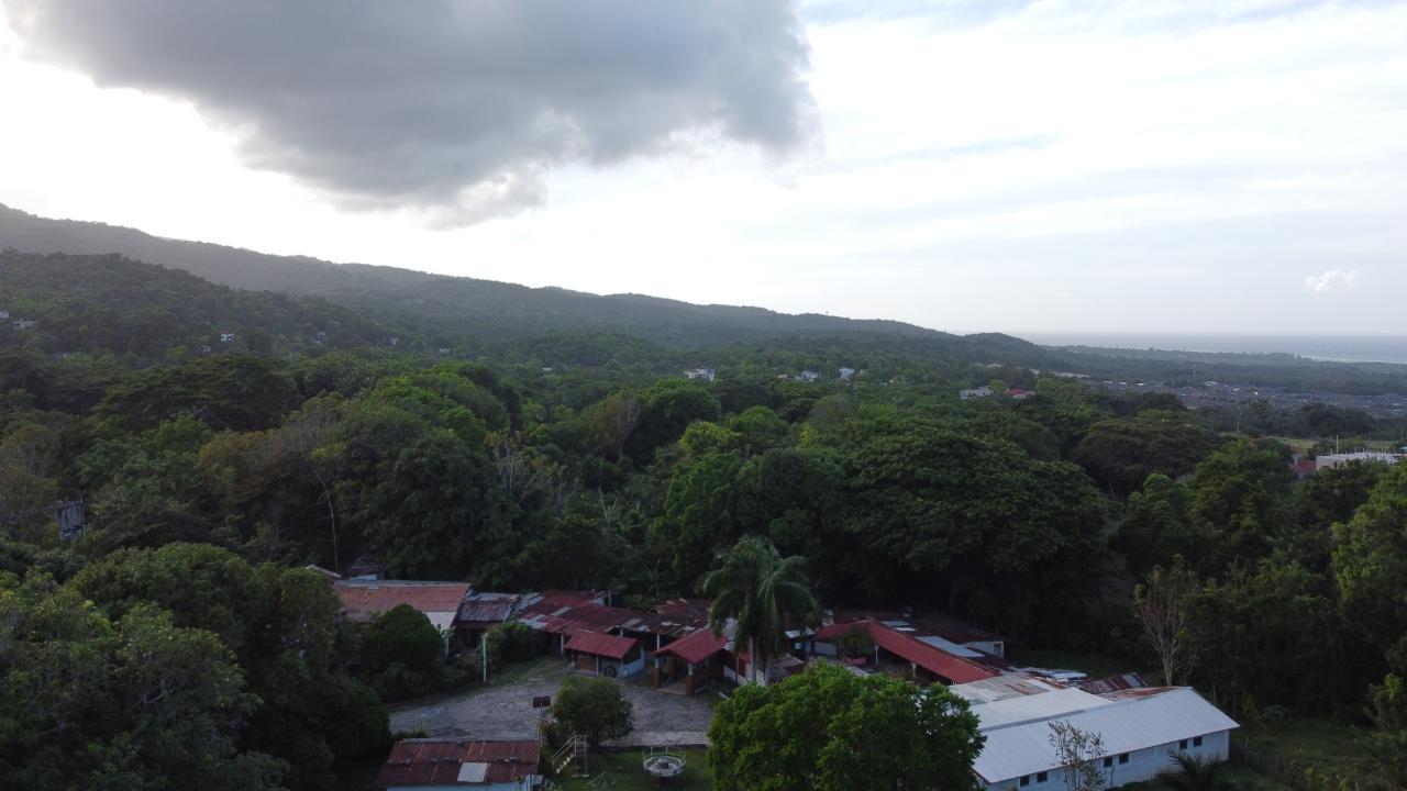 Twenty-Seventh image of New Banks, Tanglewood in Ocho Rios, St. Ann, Jamaica - property is For Sale