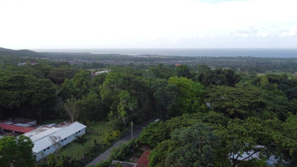 Twenty-Ninth image of New Banks, Tanglewood in Ocho Rios, St. Ann, Jamaica - property is For Sale