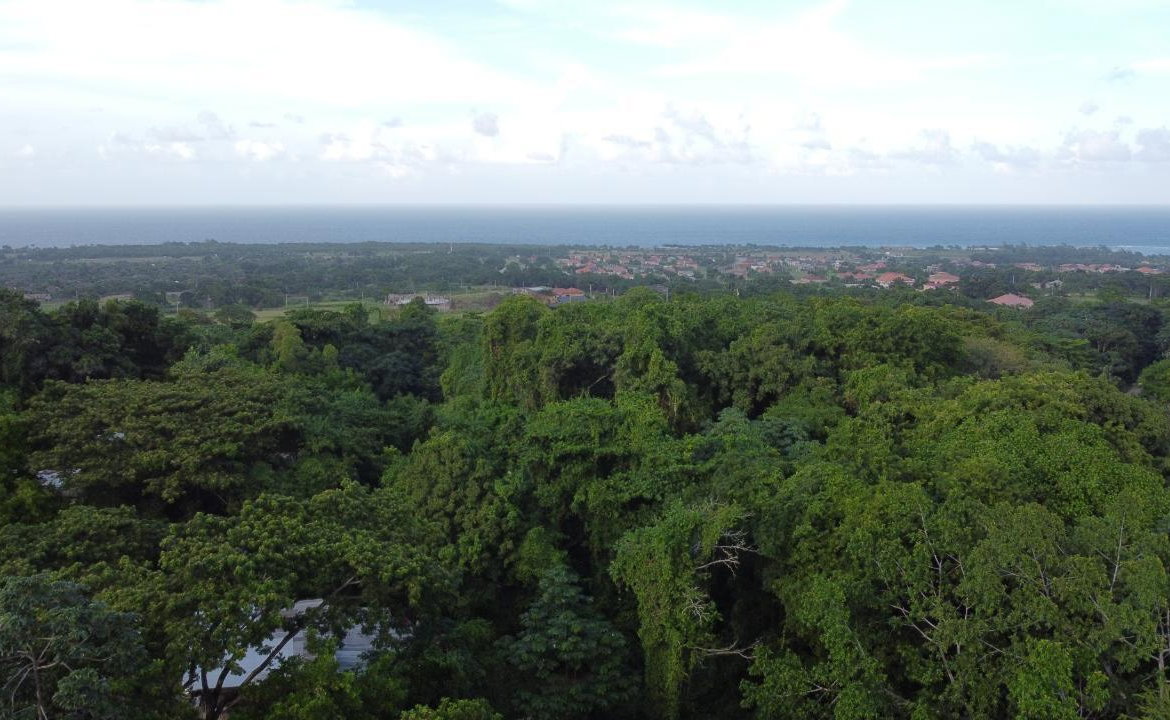 Thirtieth image of New Banks, Tanglewood in Ocho Rios, St. Ann, Jamaica - property is For Sale