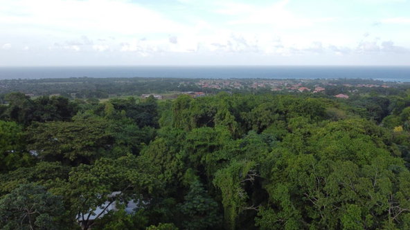 Thirtieth image of New Banks, Tanglewood in Ocho Rios, St. Ann, Jamaica - property is For Sale