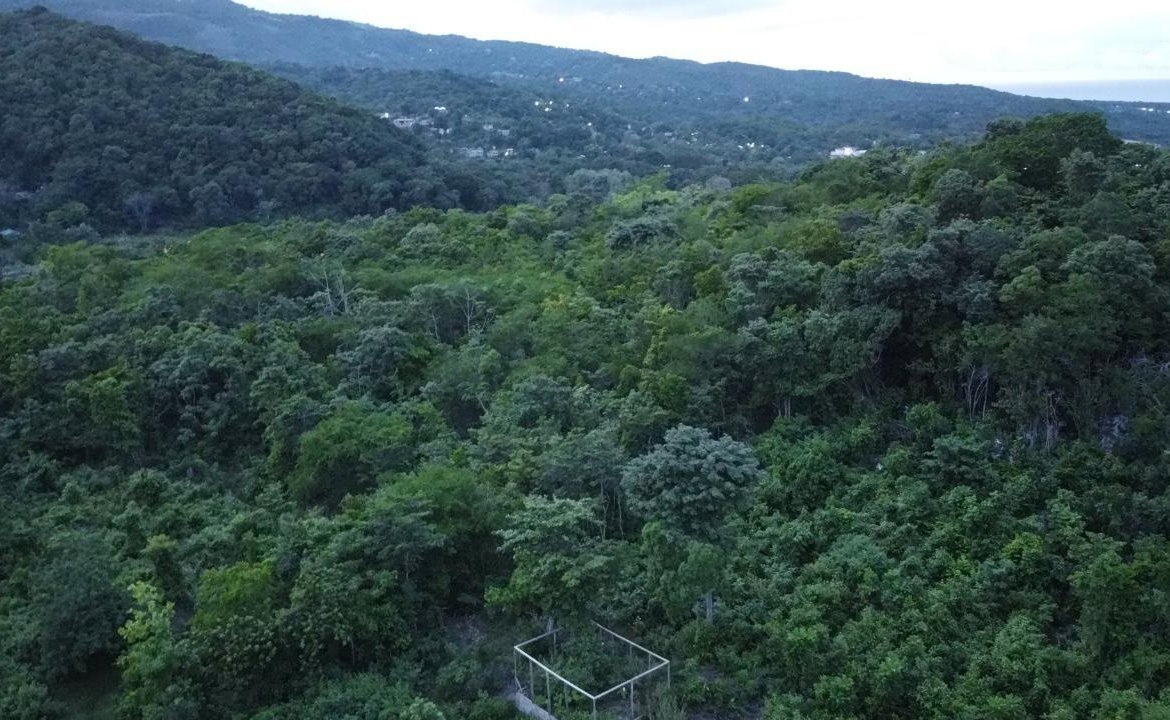 Sixth image of New Banks, Tanglewood in Ocho Rios, St. Ann, Jamaica - property is For Sale