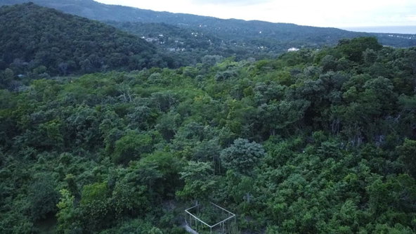 Sixth image of New Banks, Tanglewood in Ocho Rios, St. Ann, Jamaica - property is For Sale